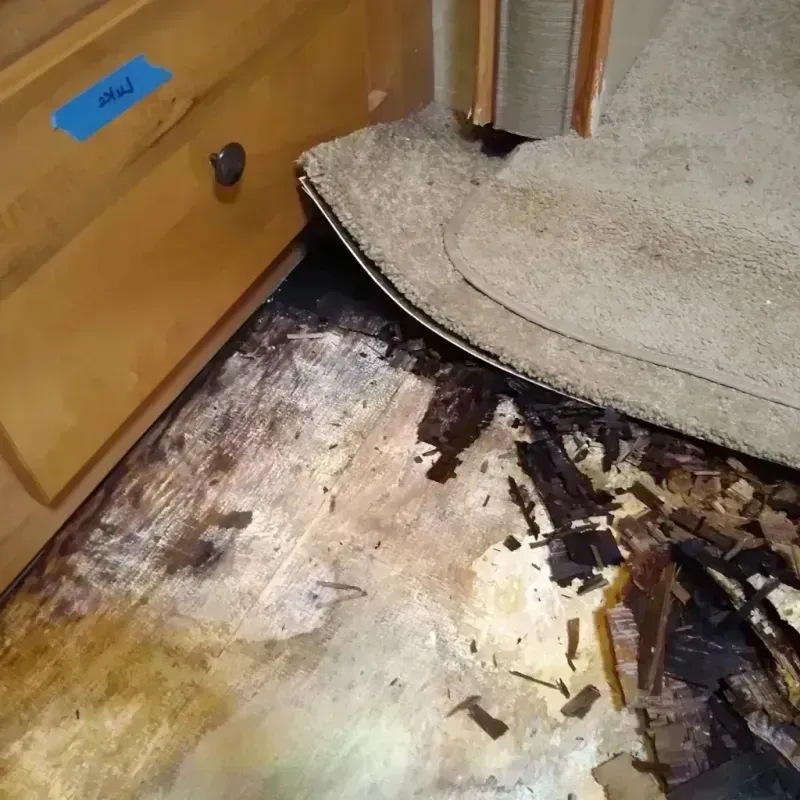 Best Wood Floor Water Damage Service in Murrieta Hot Springs, CA